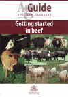 Getting Started In Beef A Practical Handbook AgGuide