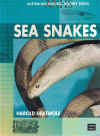 Sea Snakes