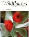 Wildflowers Of Western Australia by C A Gardner (13th Edition) used Australian wildflower book for sale in Australian secondhand bookshop www.kaysmusic.com