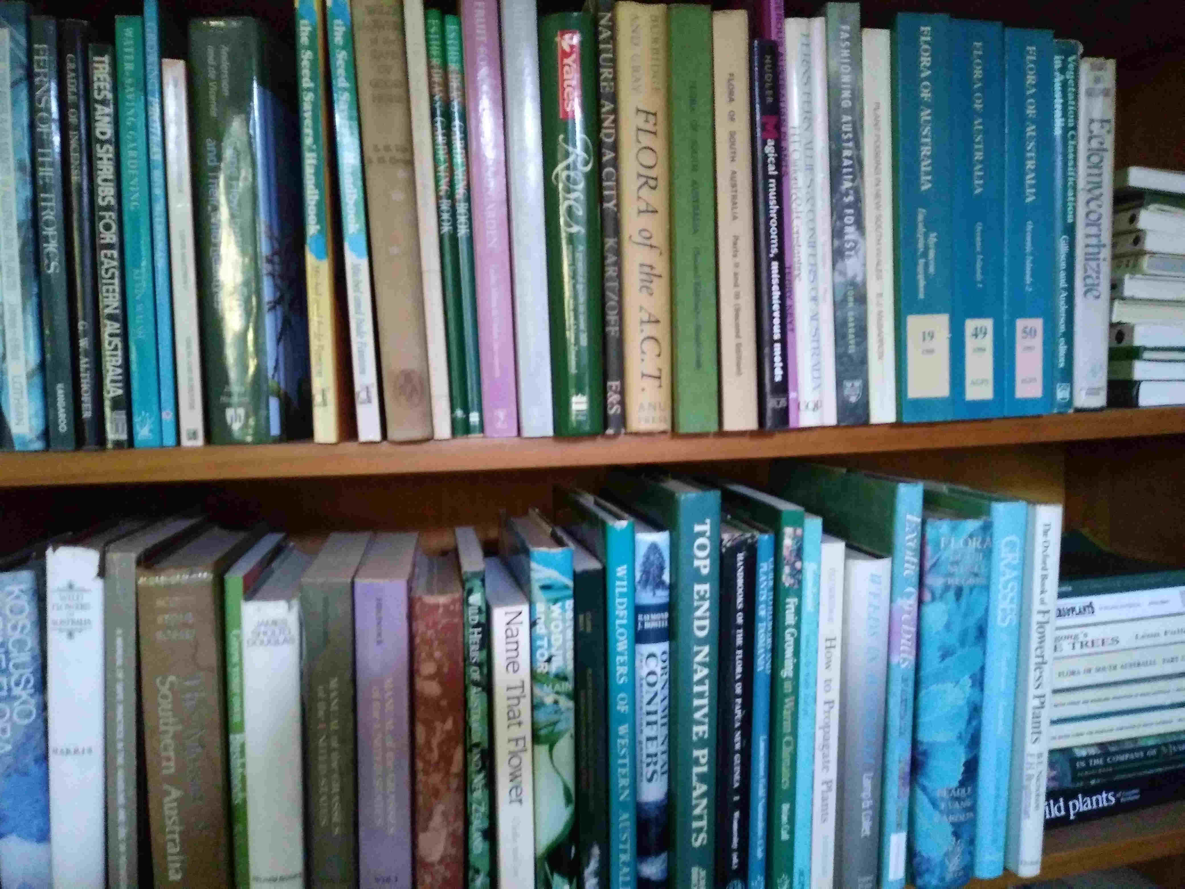 Kay's book shelves