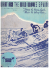 What Are The Wild Waves Saying (1937) sheet music