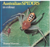 Australian Spiders In Colour