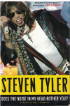 Steven Tyler Does The Noise In My Head Bother You? by Steven Tyler