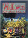 Wildflowers Of Australia