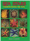 Sea Stars Echinoderms Of The Asia/Indo Pacific