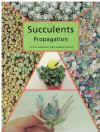 Succulents Propagation
