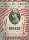 Where Do Flies Go In The Winter Time from 'Buzz-Buzz' (1919) sheet music