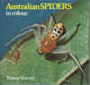 Australian Spiders In Colour